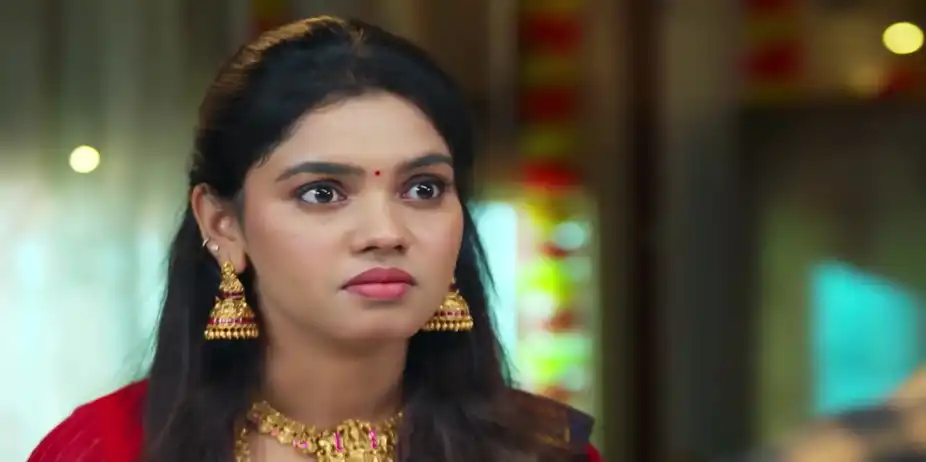 Seenu Tries to Make Charulatha Undestand - Sandhya Raagam
