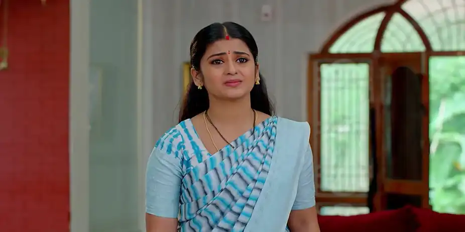 Dheerga Sumangali Bhava - November 04, 2025 - Best Scene