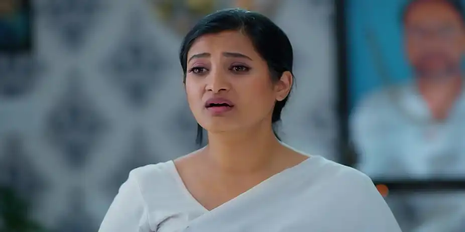 Meghasandesam - November 05, 2025 - Best Scene