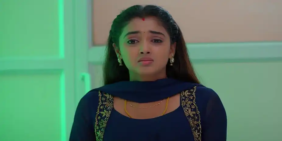 Meghasandesam - November 06, 2025 - Best Scene