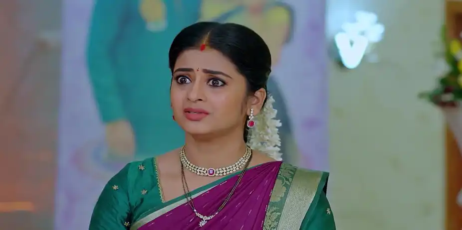 Dheerga Sumangali Bhava - November 15, 2025 - Best Scene