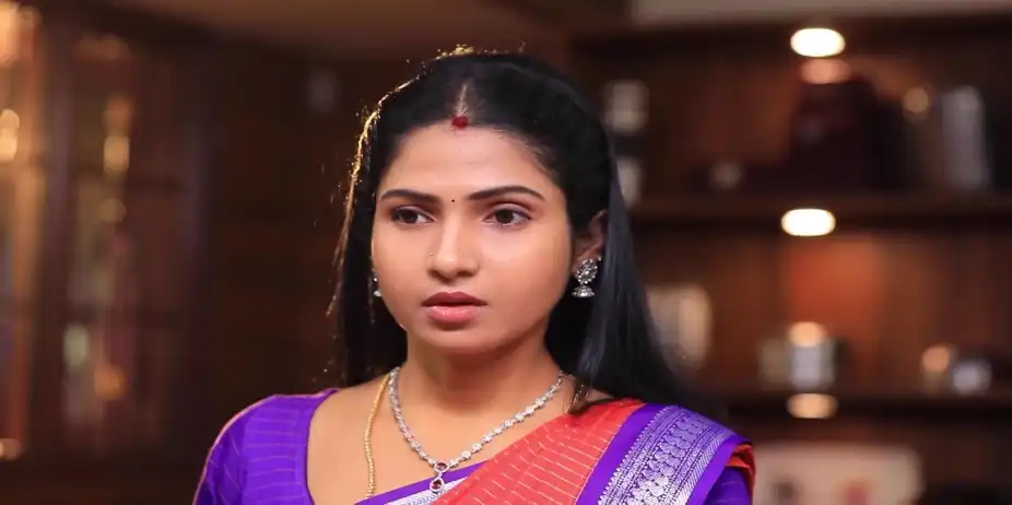 Vanathi Lies to Varalakshmi - Manasellam