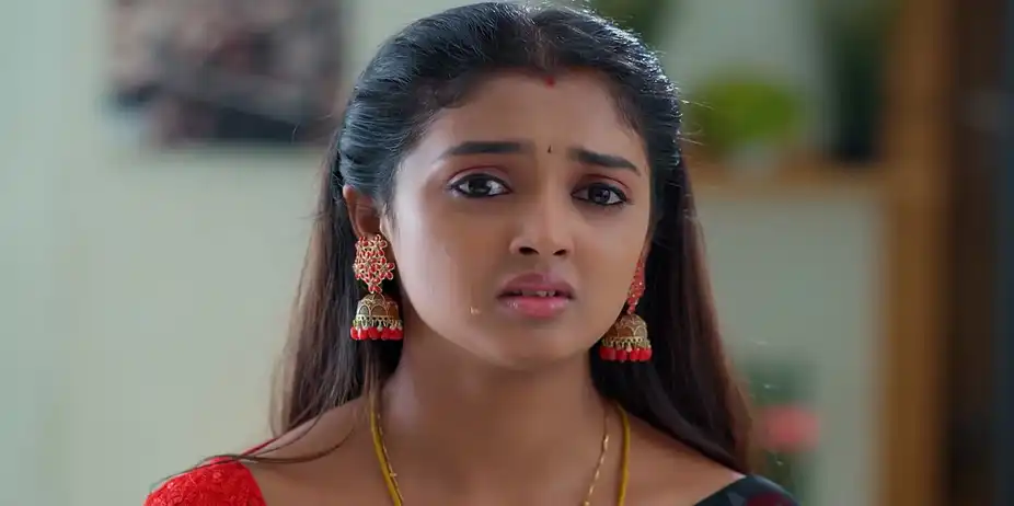 Meghasandesam - November 22, 2025 - Best Scene