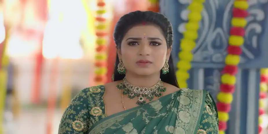 Revathi Reveals an Important Truth to Kausalya - Karthigai Deepam