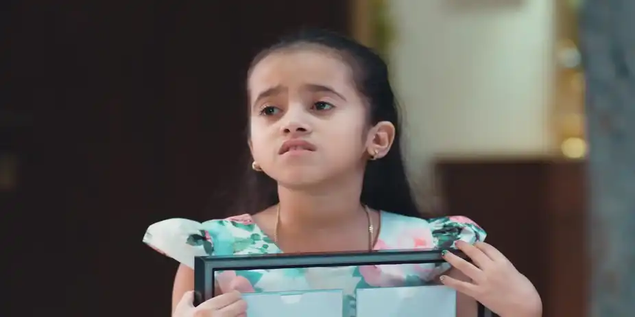 Lakshmi Niwas - November 30, 2025 - Best Scene