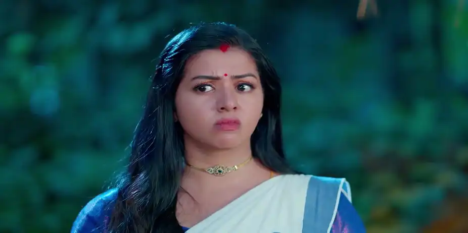 KrishnaGadha - November 30, 2025 - Best Scene