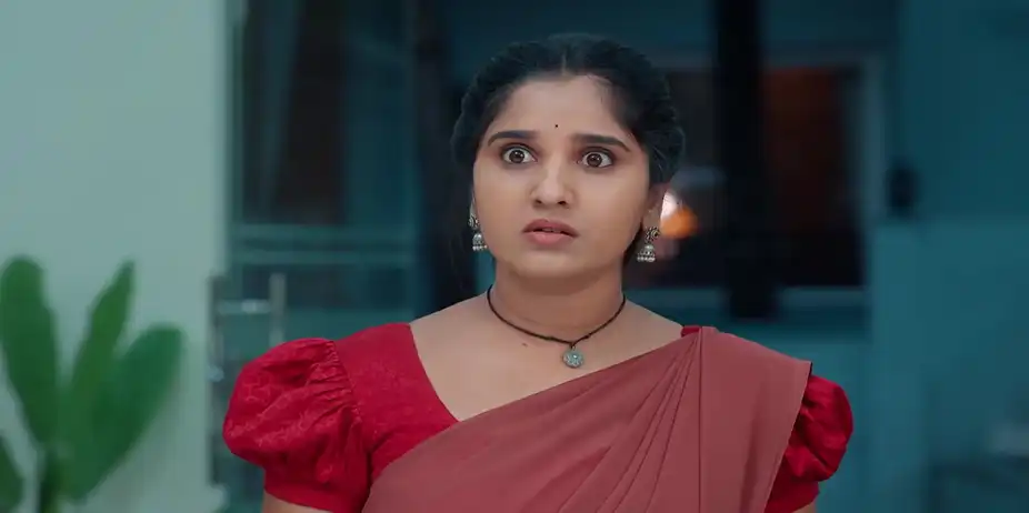 Chamanthi - November 26, 2025 - Best Scene