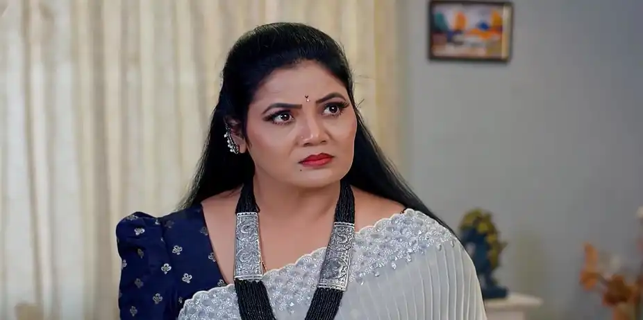 Dheerga Sumangali Bhava - November 29, 2025 - Best Scene