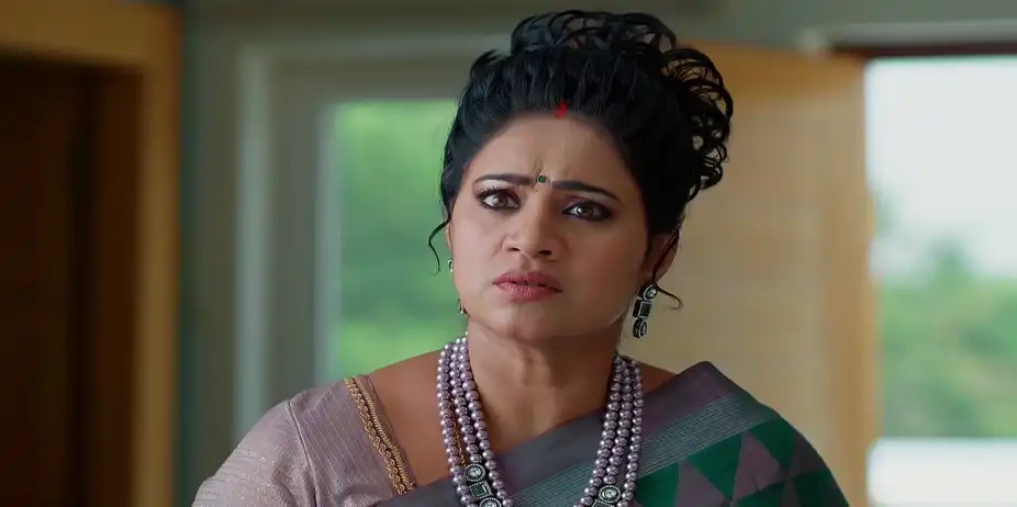Meghasandesam - November 24, 2025 - Best Scene