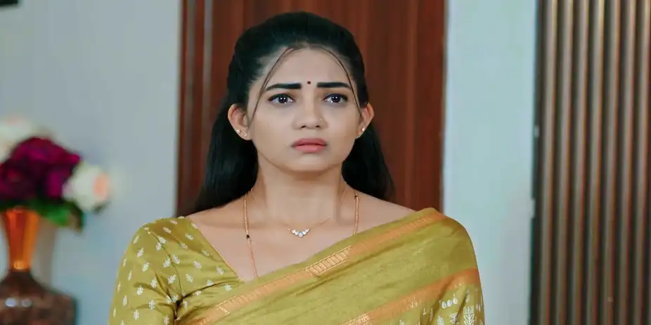 Santosh Deceives Bhavana and Siddu - Lakshmi Nivasa - Promo