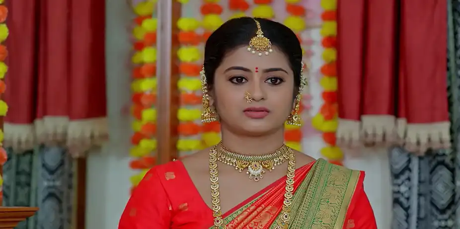 Dheerga Sumangali Bhava S1 E208 - Bhanumathi Plans to Poison Ahalya