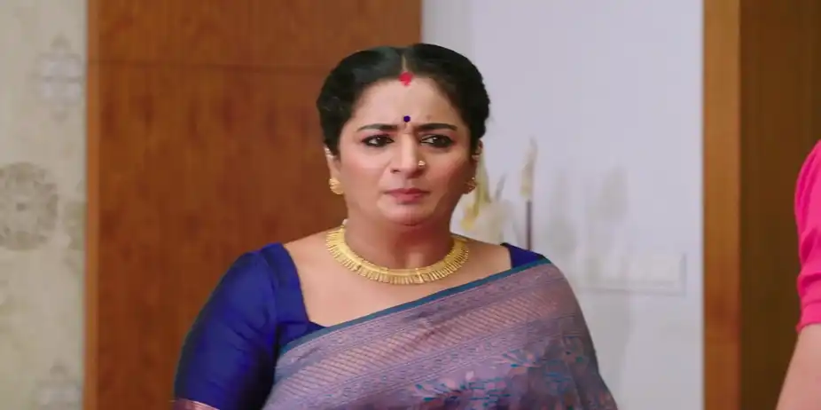 Vijaya Experiences Joy - Shravani Subramanya