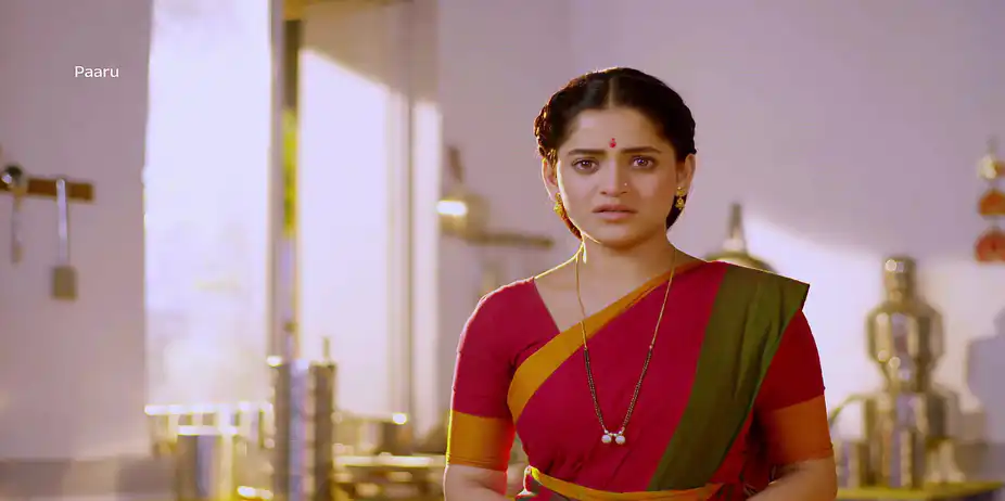 Paaru Starts a New Business - Paaru - Promo