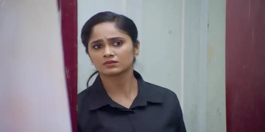 Verma's Aim - Ayali