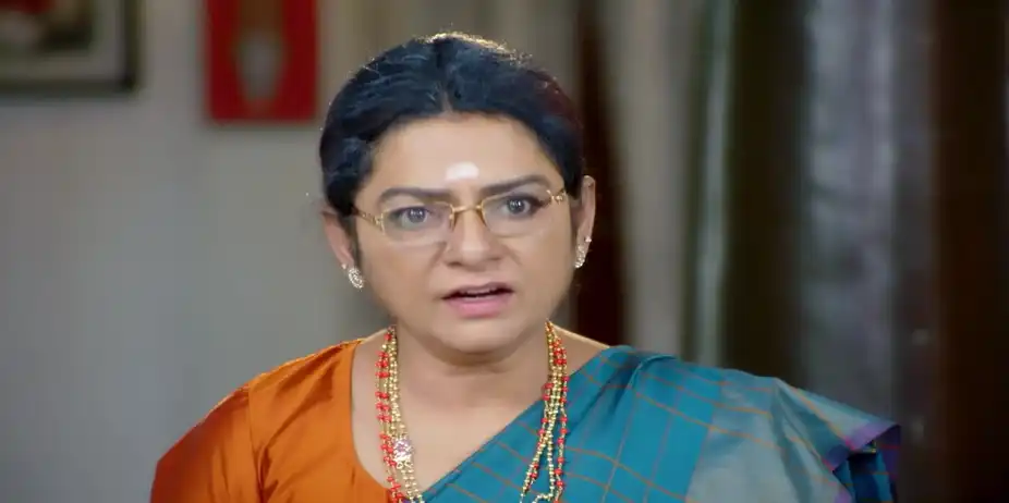 Seenu Supports Ramaniamma's Decision - Sandhya Raagam