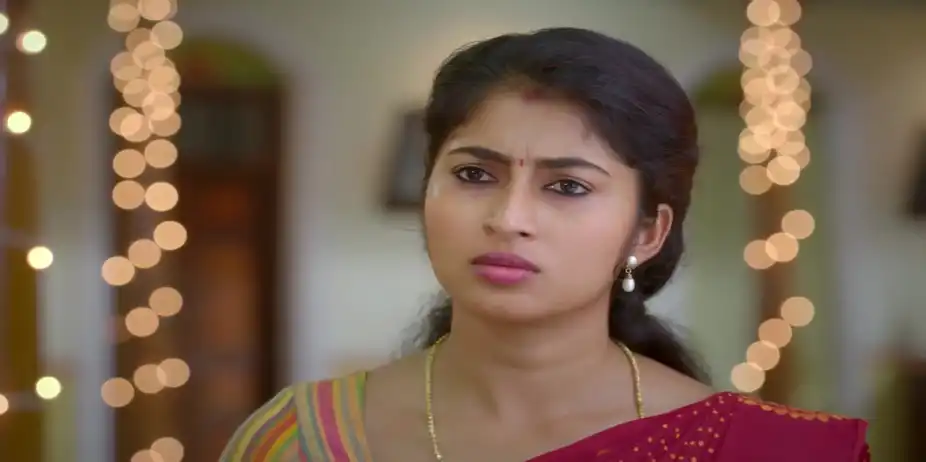 Divakaran's Behaviour Annoys Veera - Veera