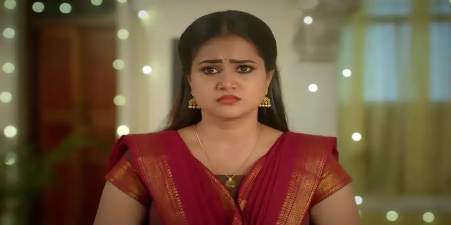 Karna's Claim Annoys Indhu - Chinnan Siru Kiliye