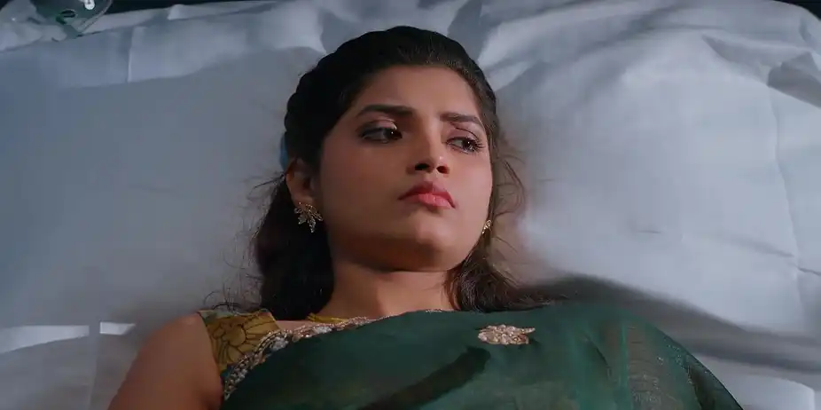 Meghasandesam - December 30, 2025 - Best Scene