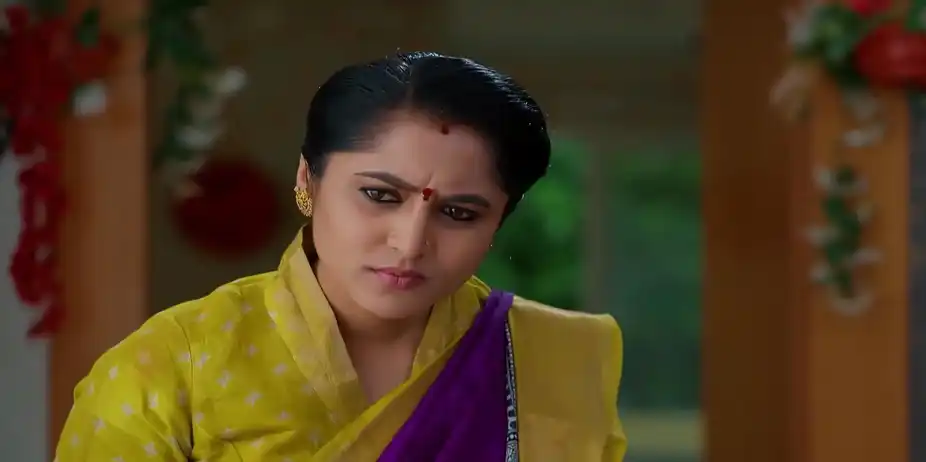 Meghasandesam - December 31, 2025 - Best Scene