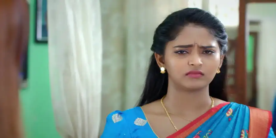 Maya Comforts Dhanalakshmi - Sandhya Raagam