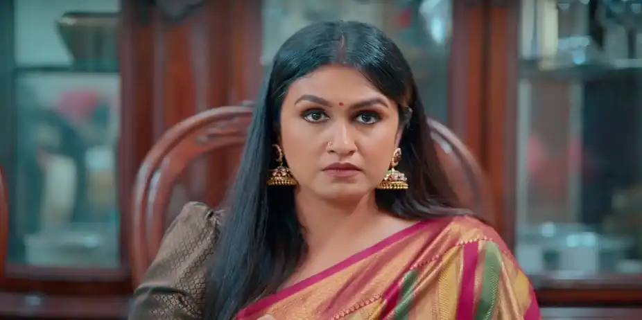 Naveen Has a Word with Sumithra - KrishnaGadha