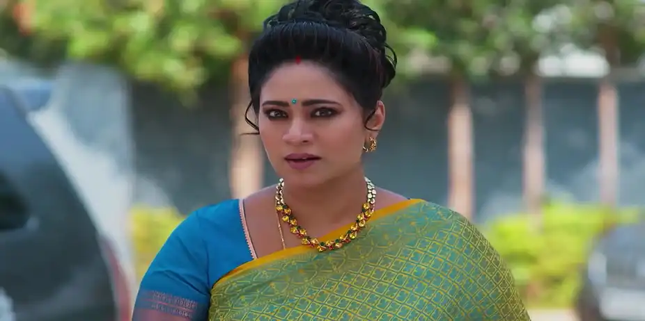 Meghasandesam - January 05, 2026 - Best Scene