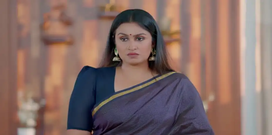 KrishnaGadha - January 09, 2026 - Best Scene
