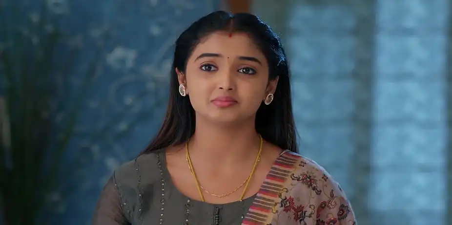 Meghasandesam - January 15, 2026 - Best Scene
