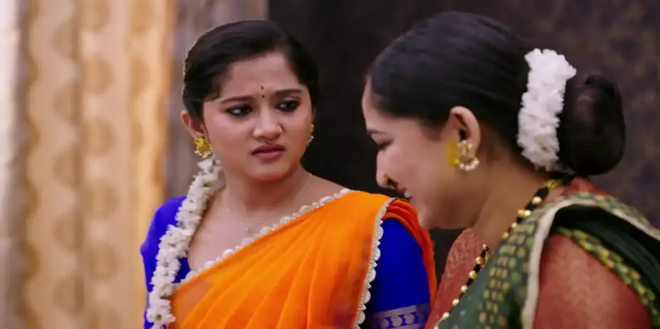 Manjula Plots a Scheme - Jodi Hakki