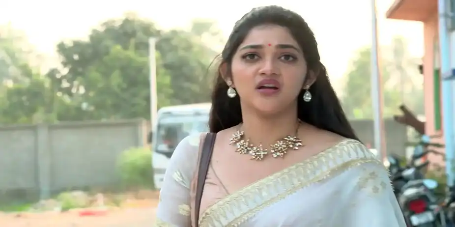 Meera Instigates Arya - Chirodini Tumi Je Amar