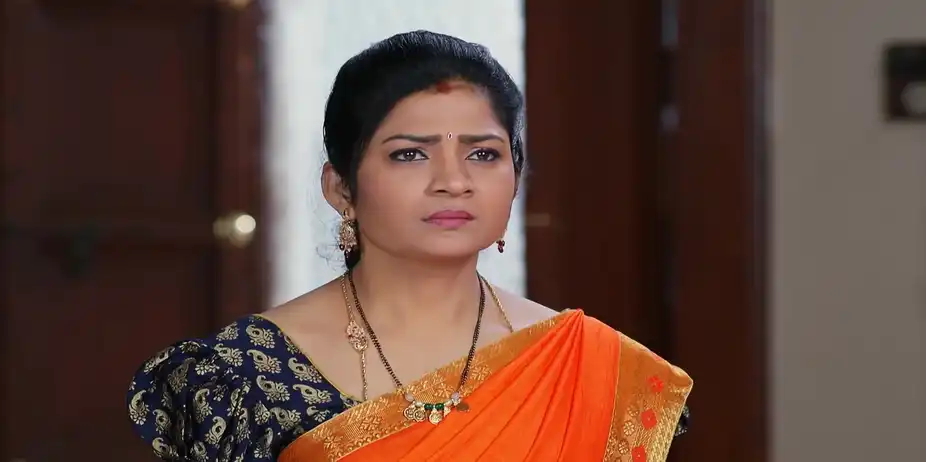 Charulata Exposes Aadhya's Plan - Sandhyaraaga
