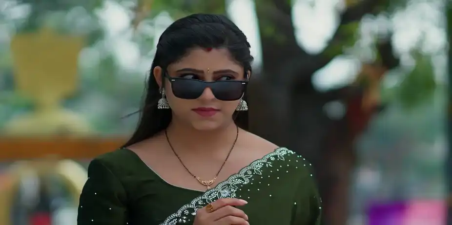 Charulata’s Wicked Plan - Sandhyaraaga