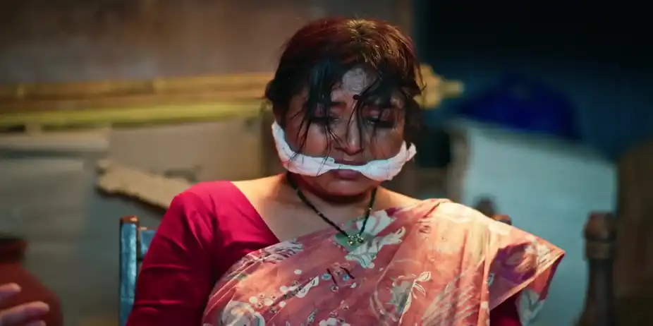 Lakshmi Niwas - January 16, 2026 - Best Scene