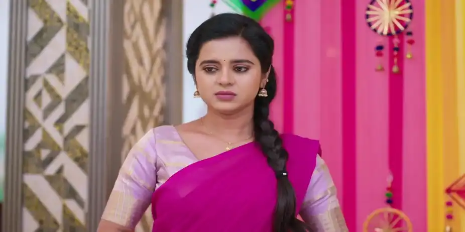 Preetham’s Secret Wink - Gowri