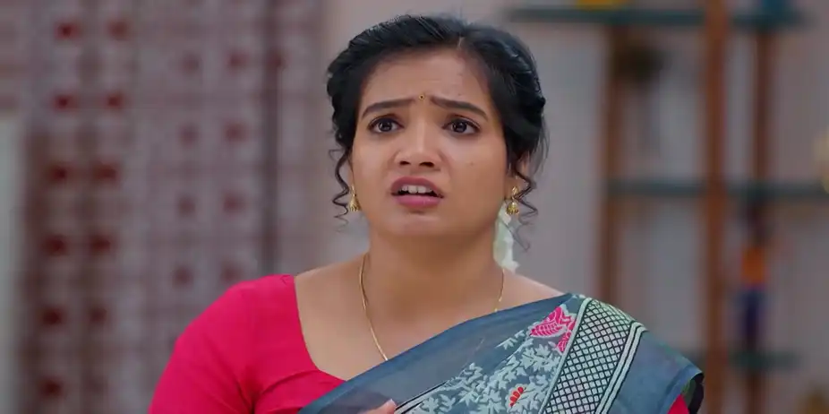 Lakshmi Nivasam - January 21, 2026 - Best Scene