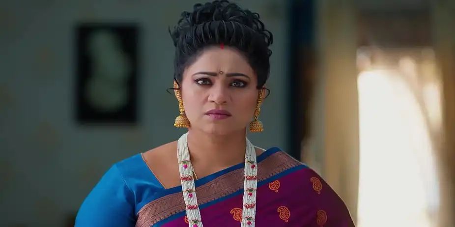 Meghasandesam - January 20, 2026 - Best Scene