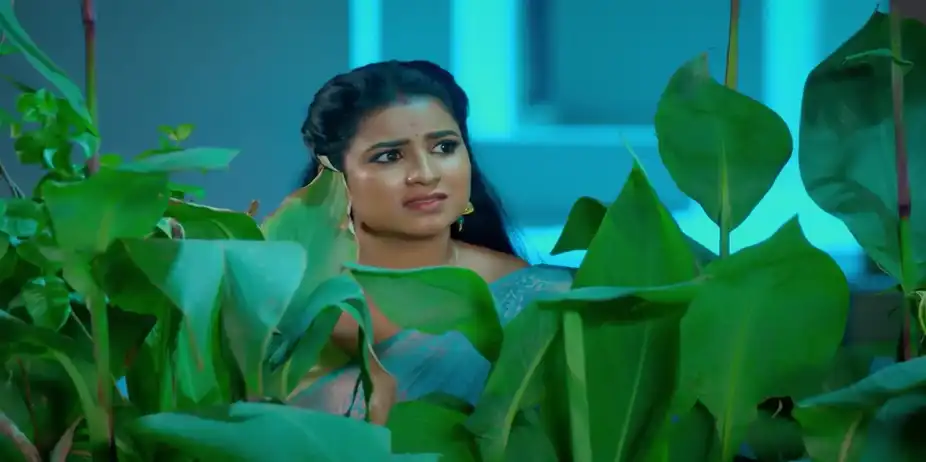 Revathi Hides on Seeing Mayilvahanam - Karthigai Deepam