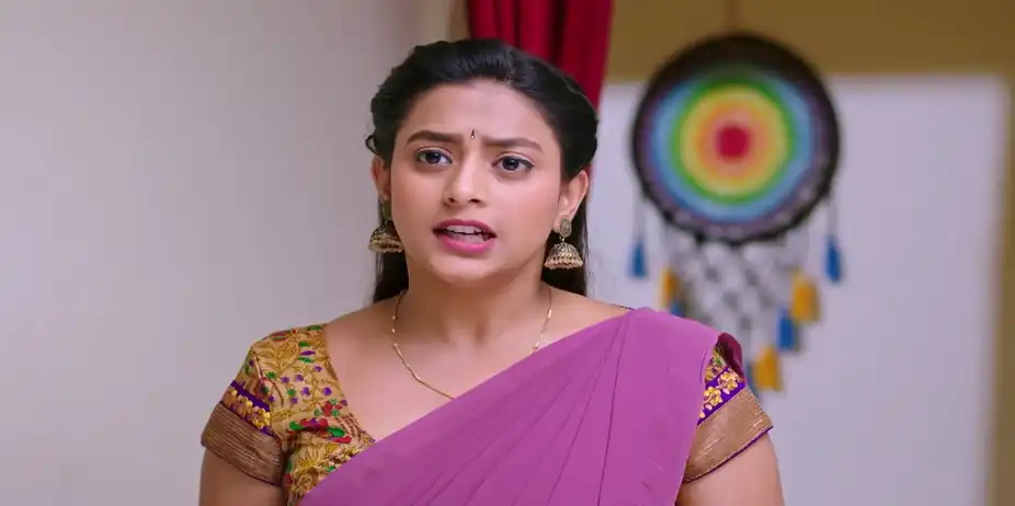 Varada Comforts Varalakshmi - Shravani Subramanya