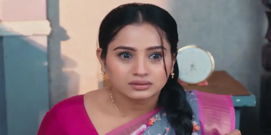 Lakshmi Niwas - January 18, 2026 - Best Scene