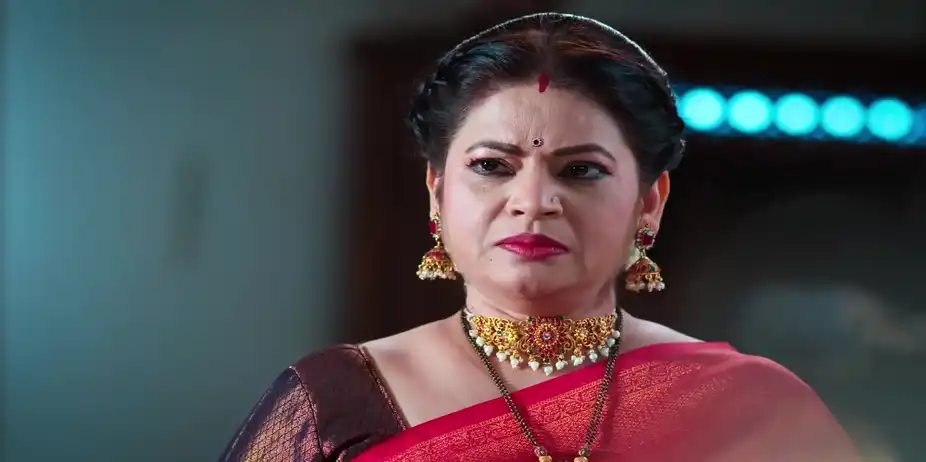 Bhairavi Tells Jayanti about Her Insult - Savalyachi Janu Savali