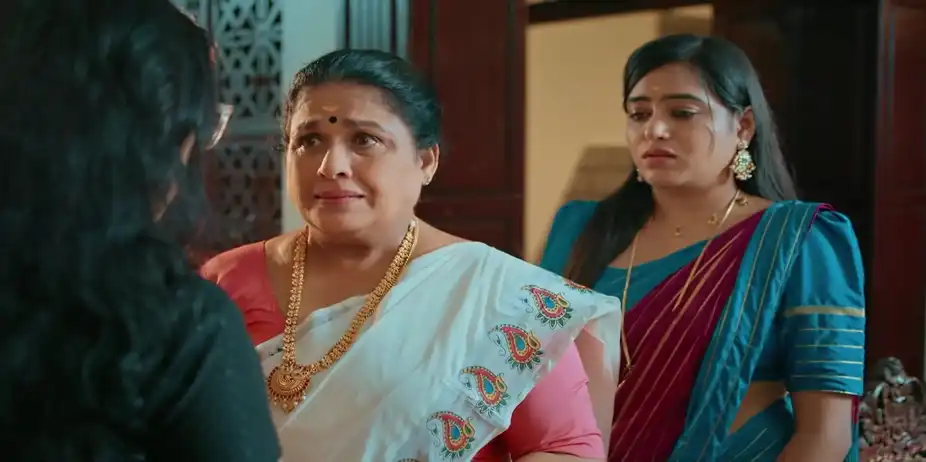 Saraswathyamma Shares Her Woes with Padmavathy - Akale