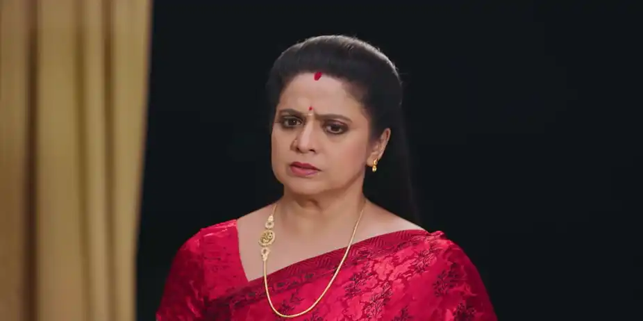 Mahi Tells His Family about Arjun - Chembarathy