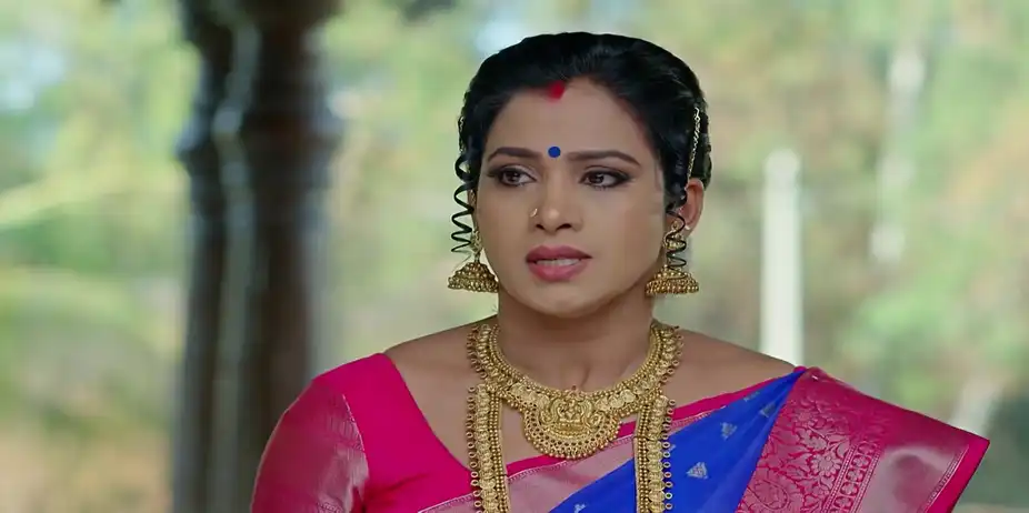 Gharana Mogudu - January 26, 2026 - Best Scene