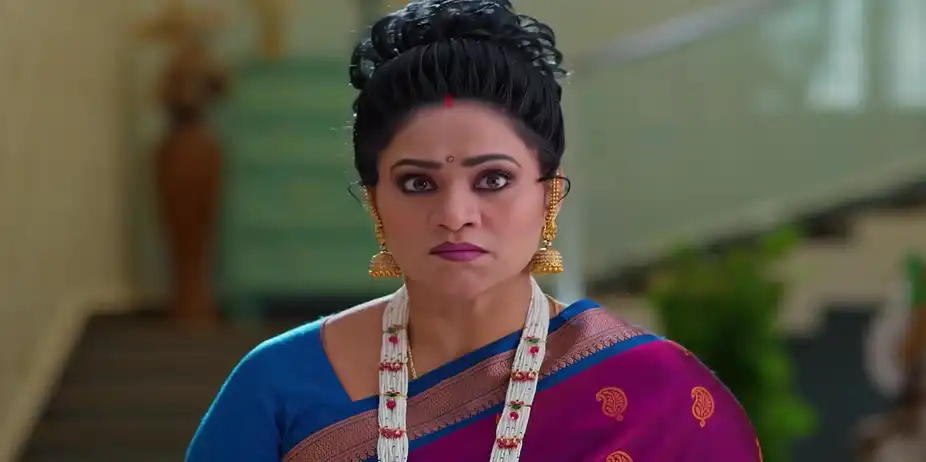 Meghasandesam - January 26, 2026 - Best Scene