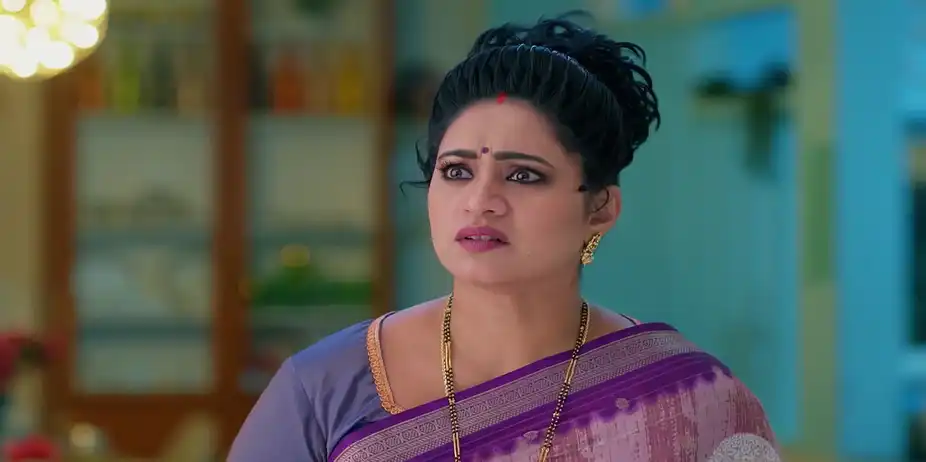 Meghasandesam - January 28, 2026 - Best Scene