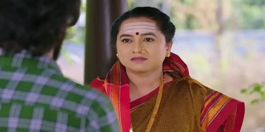 Nandini Shares Her Joy with Subbu - Shravani Subramanya