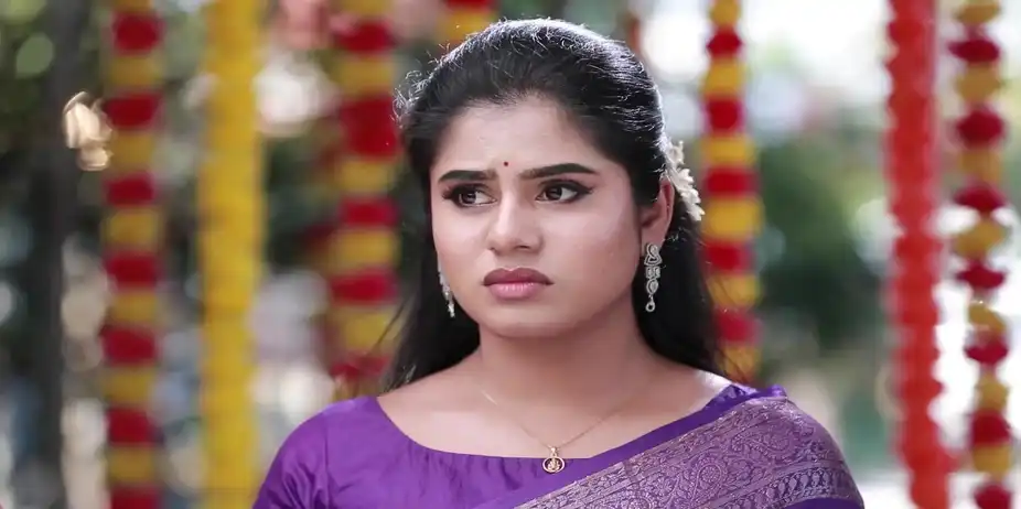 Cibi Organises Sukumar's Wedding - Varisu