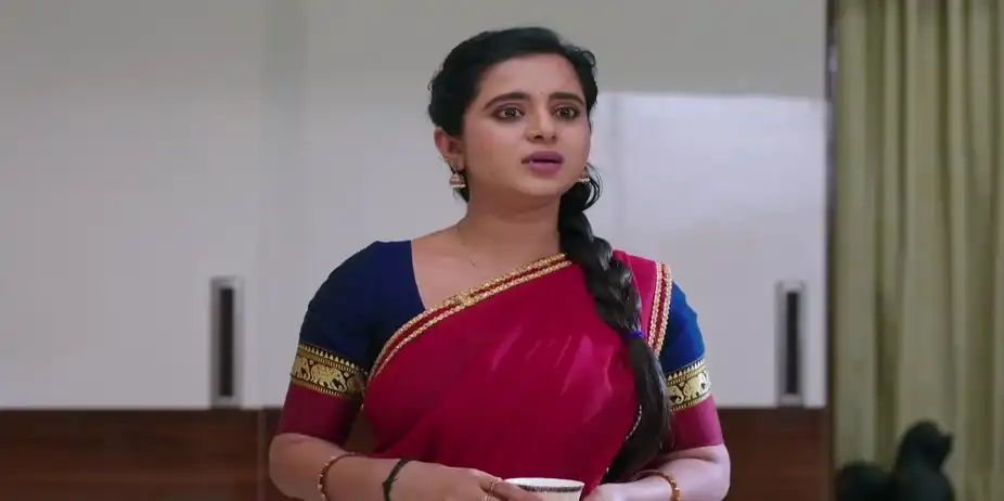 Preetham Troubles Gowri - Gowri