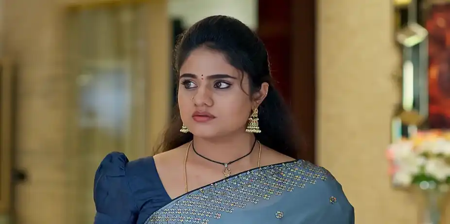 Jagadhatri - February 03, 2026 - Best Scene