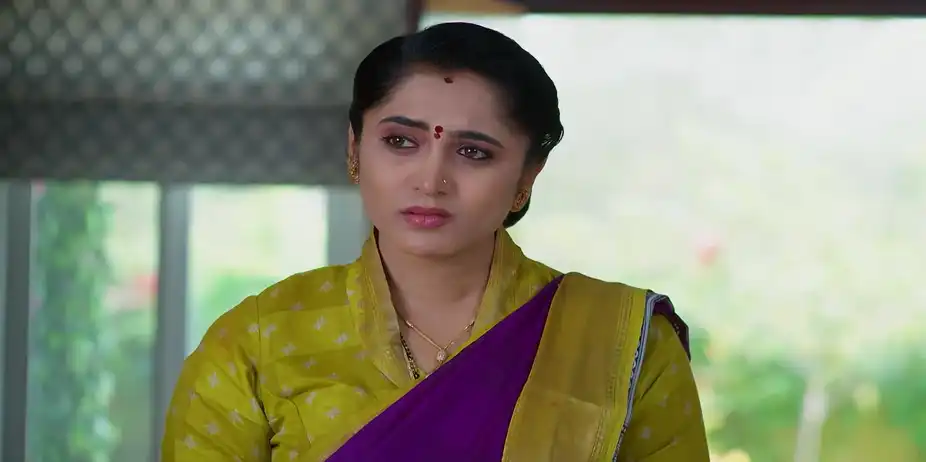 Meghasandesam - February 04, 2026 - Best Scene